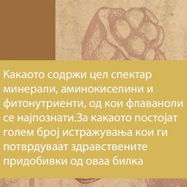 КАКАО ВО ПРАВ АРИБА НАЦИОНАЛ (ОРГАНСКО) 150гр. - Image 8